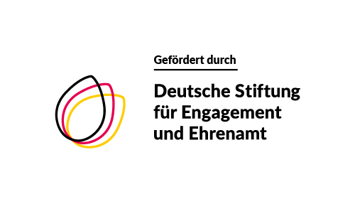 DSEE Logo