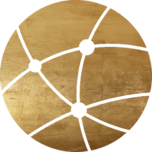 Virchow Foundation für Globale Gesundheit