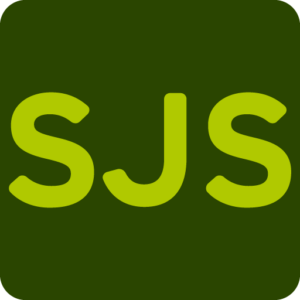 Sächsische Jugendstiftung