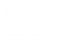 El Puente-Stiftung