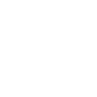 Freddy Fischer Stiftung – Chance Zukunft