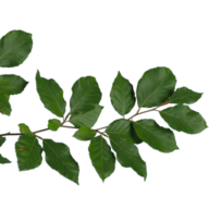 Landschafft! Deutsche Stiftung Kulturlandschaft