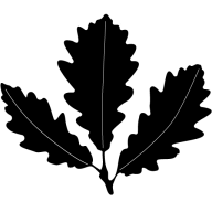 Förderstiftung für Kunst und Wissenschaft