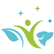 TraumTänzer Stiftung