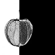 Kulturstiftung-Seevetal