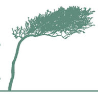 Stiftung "Betroffen"